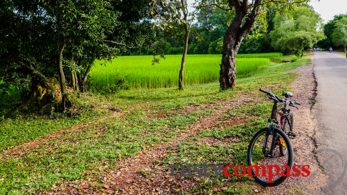 Cycling beyond the main temples - Angkor Archaelogical Park